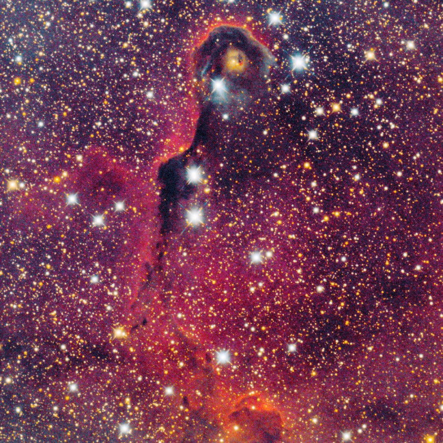 IC1396
