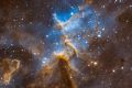 ic1805 core sho spa 2 ccd 204px