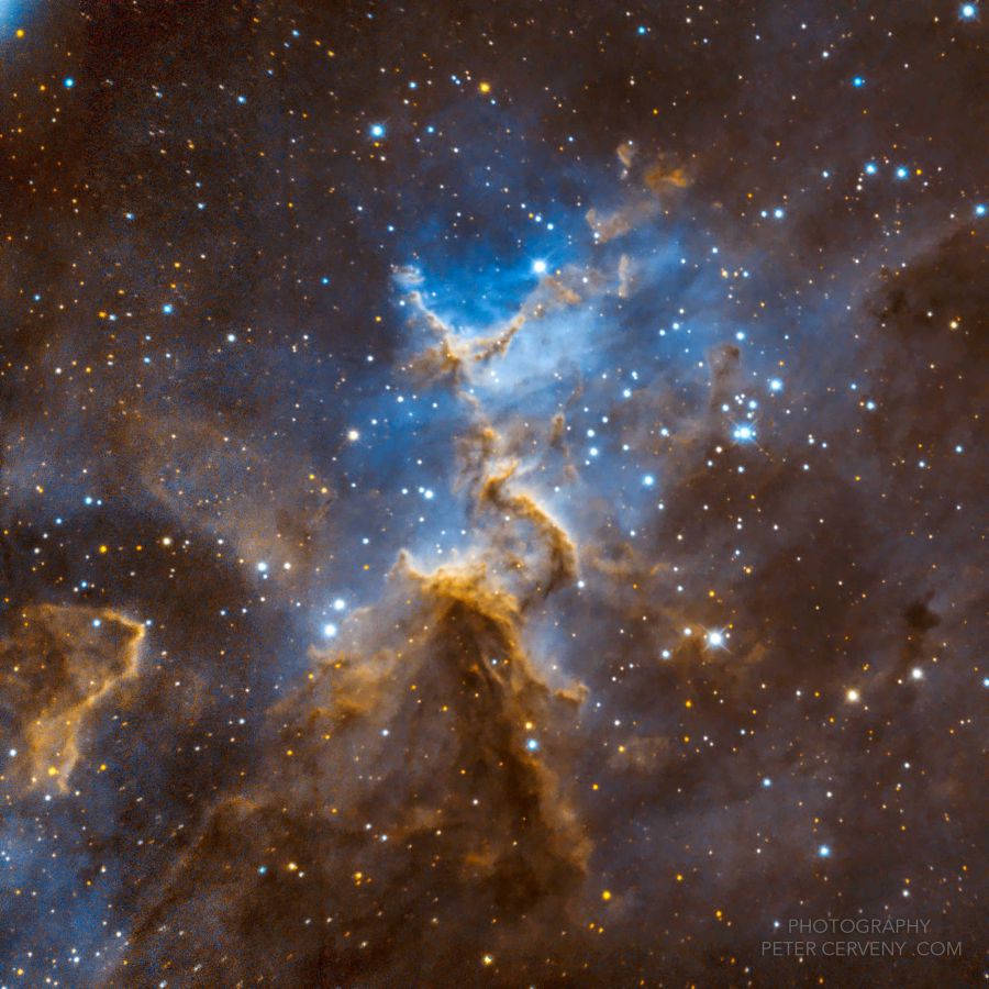 ic1805 core sho spa 2 ccd 204px