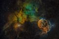 ic443 sho tl111 starcomp 11px