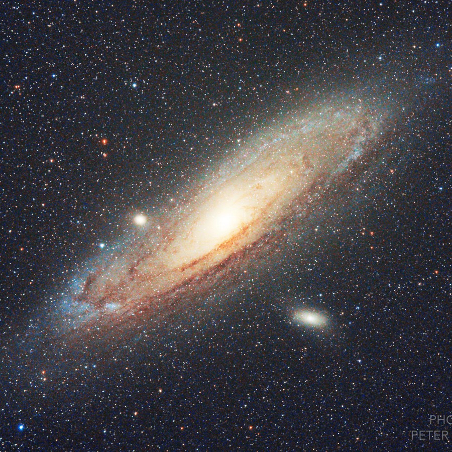 M31