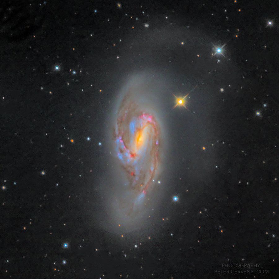 m66 lrgb tl71px