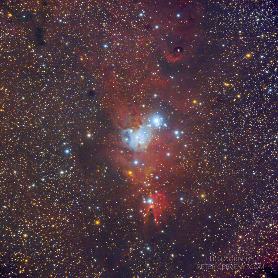 NGC2264