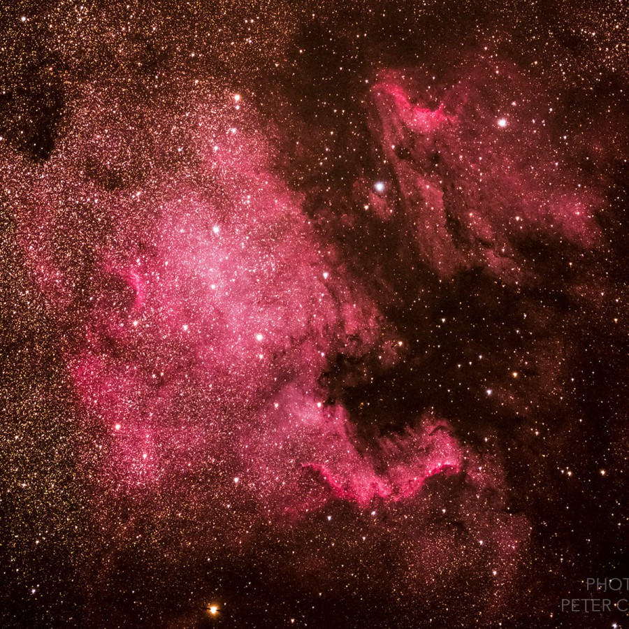 NGC7000 North America Nebula