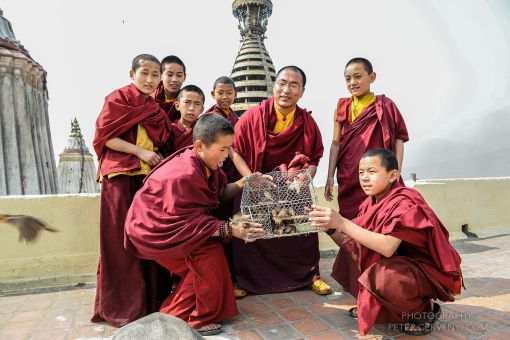 20090317 ktm tashi 9pc3717px