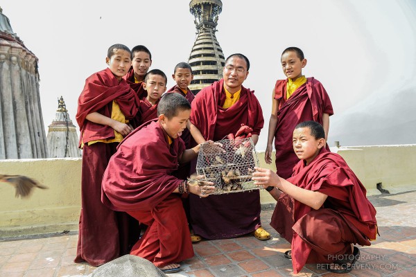 Bird Release at Swayambhu stupa in Kathmandu