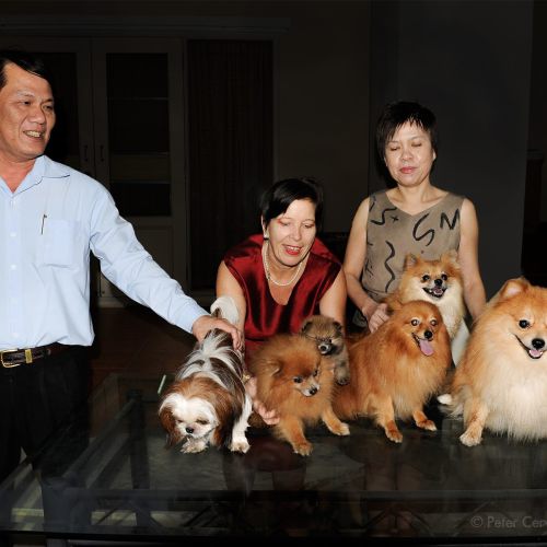 w1800 20090313 olan 6dogspc3680