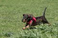 w1800 20190418 tashi