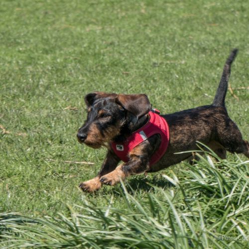 w1800 20190418 tashi
