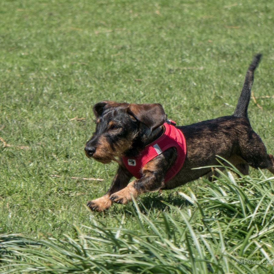 w1800 20190418 tashi