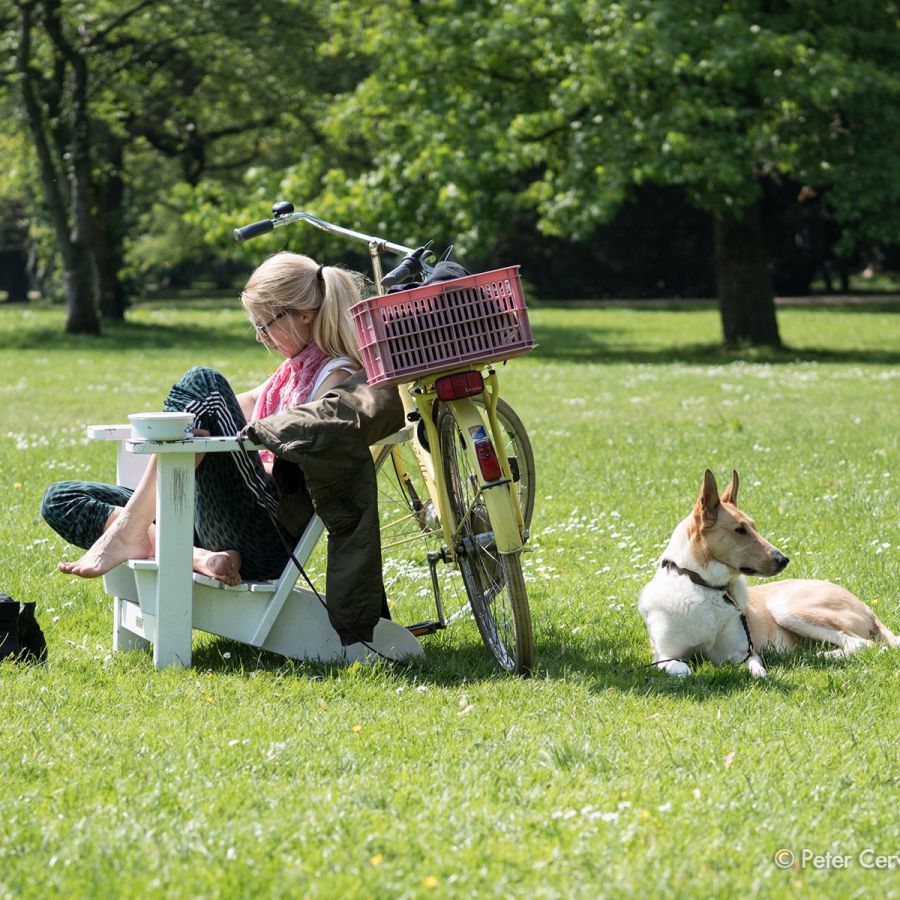 w1800 20190524 dog hh