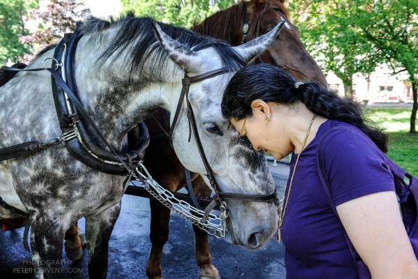 Mayum Sonam Wangmo meets horse