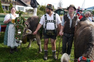 Viehscheid in Bolsterlang Oberallgäu